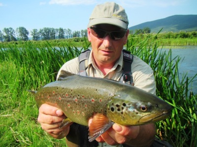 Davor Sečenj